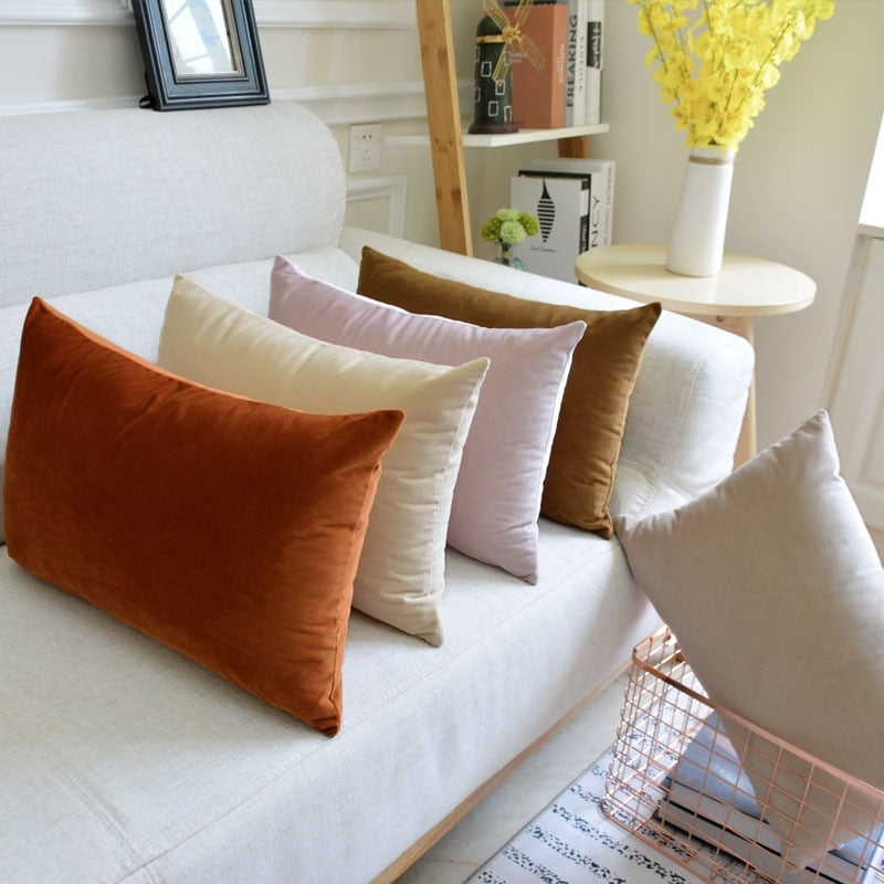 Washable Velvet Pillow Case