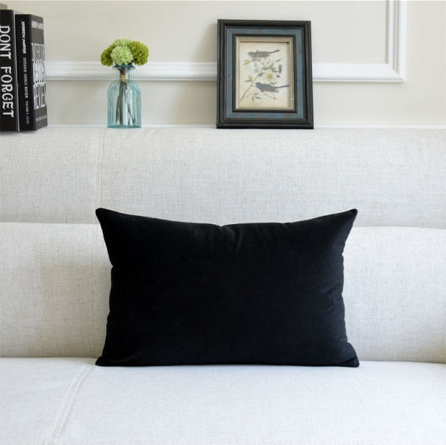 Washable Velvet Pillow Case
