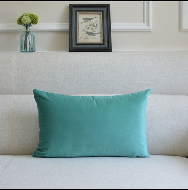 Washable Velvet Pillow Case