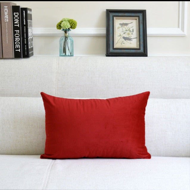 Washable Velvet Pillow Case