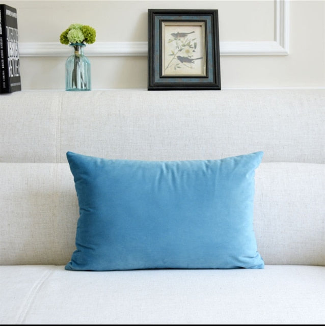 Washable Velvet Pillow Case