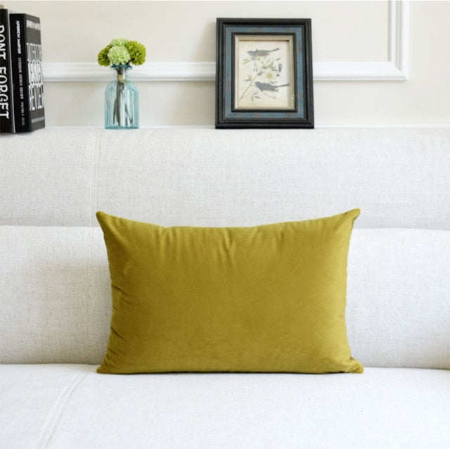 Washable Velvet Pillow Case