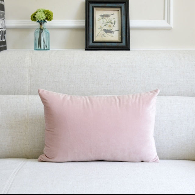 Washable Velvet Pillow Case