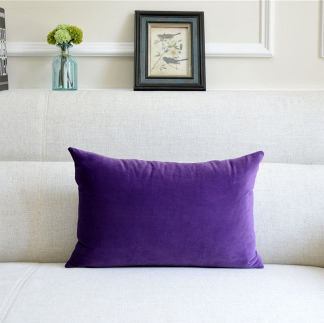Washable Velvet Pillow Case