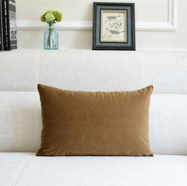Washable Velvet Pillow Case