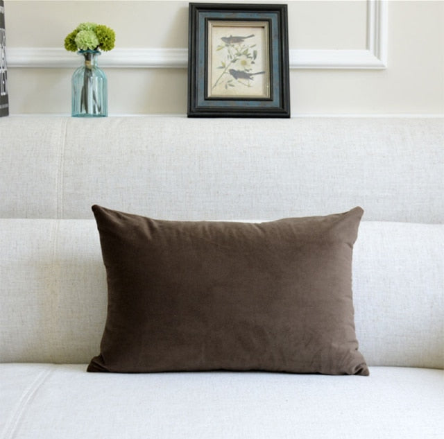 Washable Velvet Pillow Case
