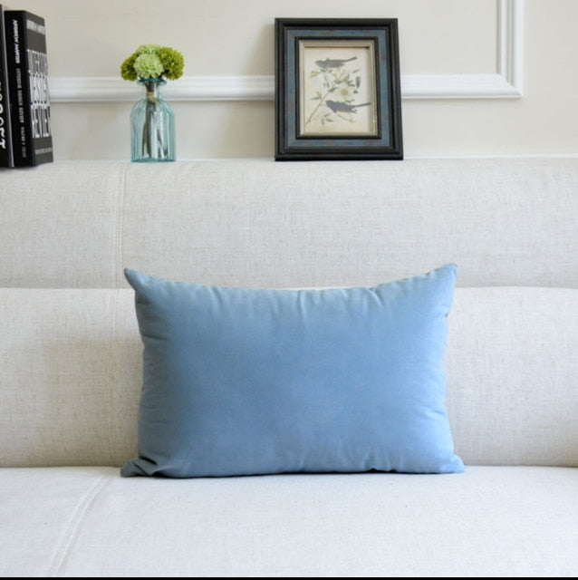 Washable Velvet Pillow Case