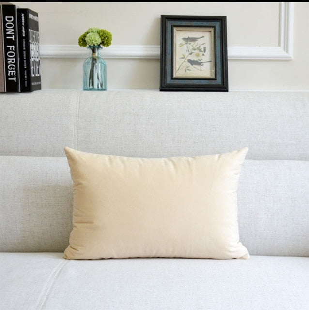 Washable Velvet Pillow Case