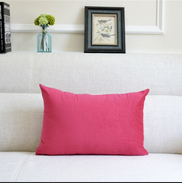 Washable Velvet Pillow Case