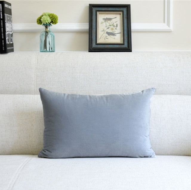 Washable Velvet Pillow Case