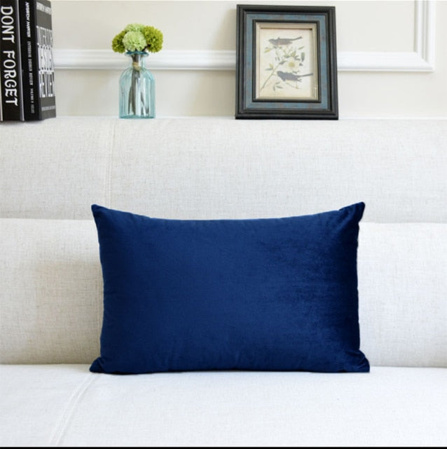 Washable Velvet Pillow Case