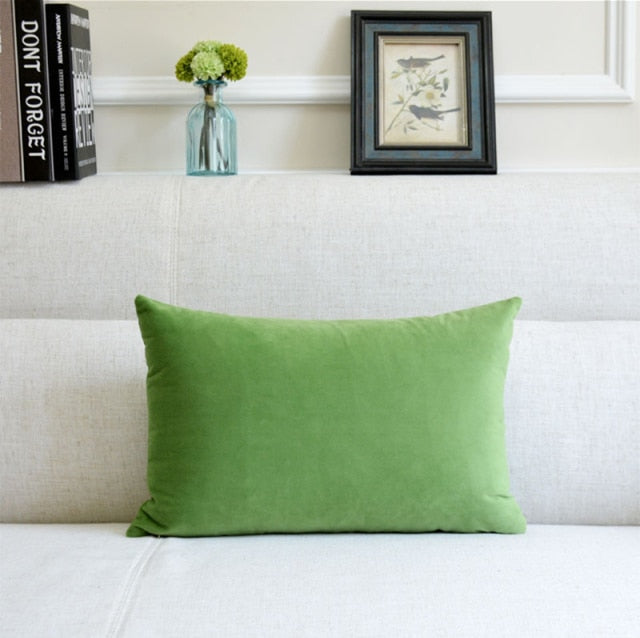 Washable Velvet Pillow Case