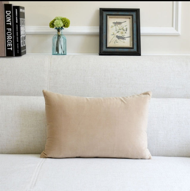 Washable Velvet Pillow Case