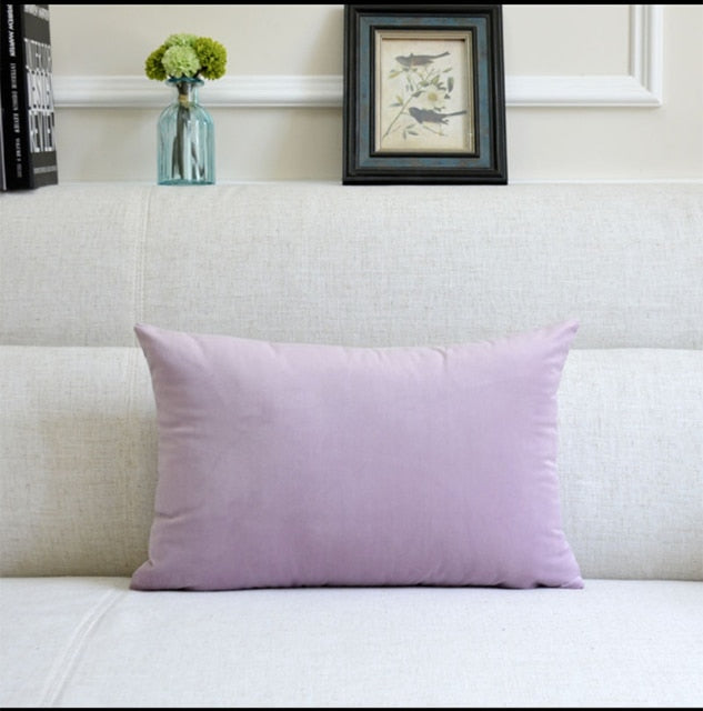 Washable Velvet Pillow Case