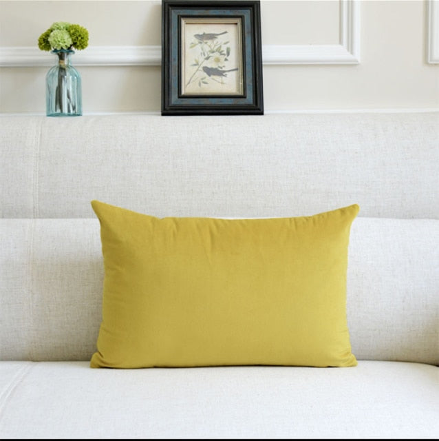 Washable Velvet Pillow Case
