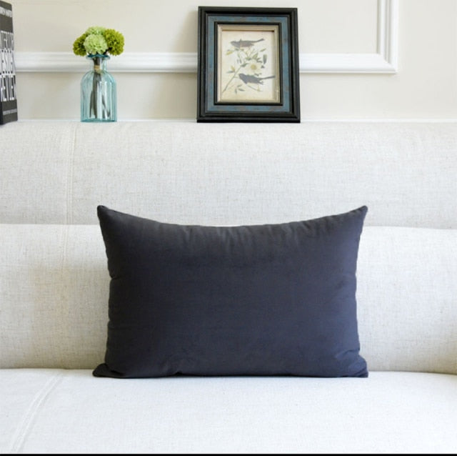 Washable Velvet Pillow Case