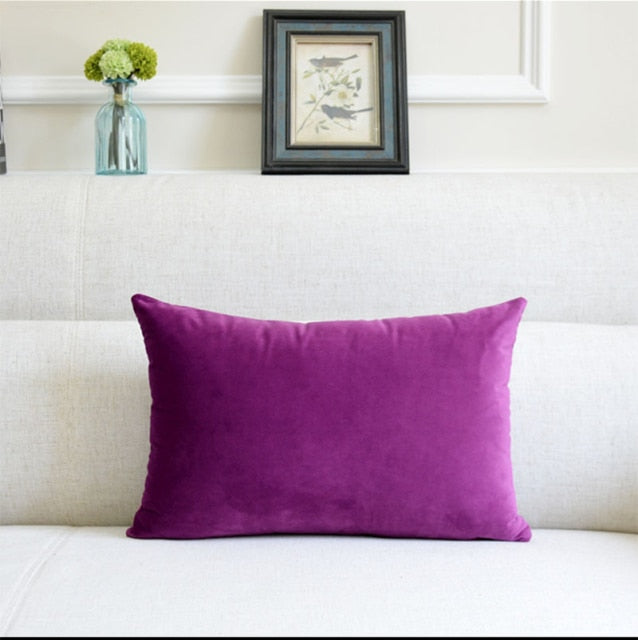 Washable Velvet Pillow Case