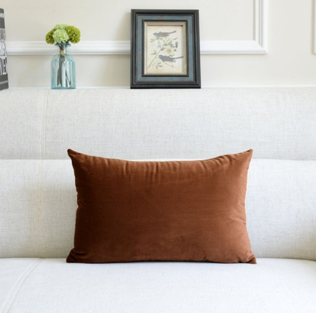 Washable Velvet Pillow Case