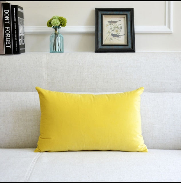 Washable Velvet Pillow Case