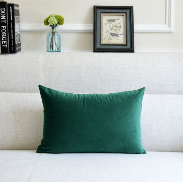 Washable Velvet Pillow Case