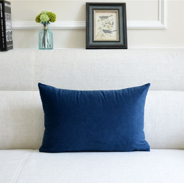 Washable Velvet Pillow Case