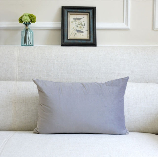 Washable Velvet Pillow Case