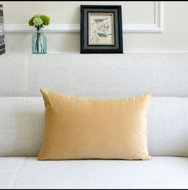 Washable Velvet Pillow Case