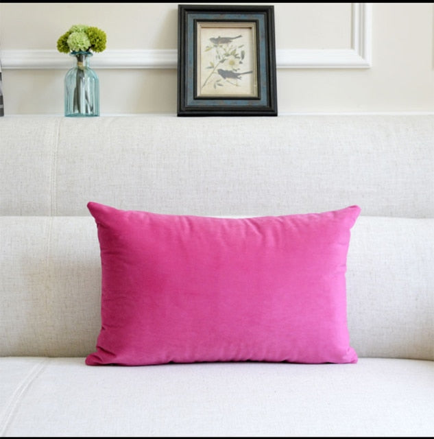 Washable Velvet Pillow Case