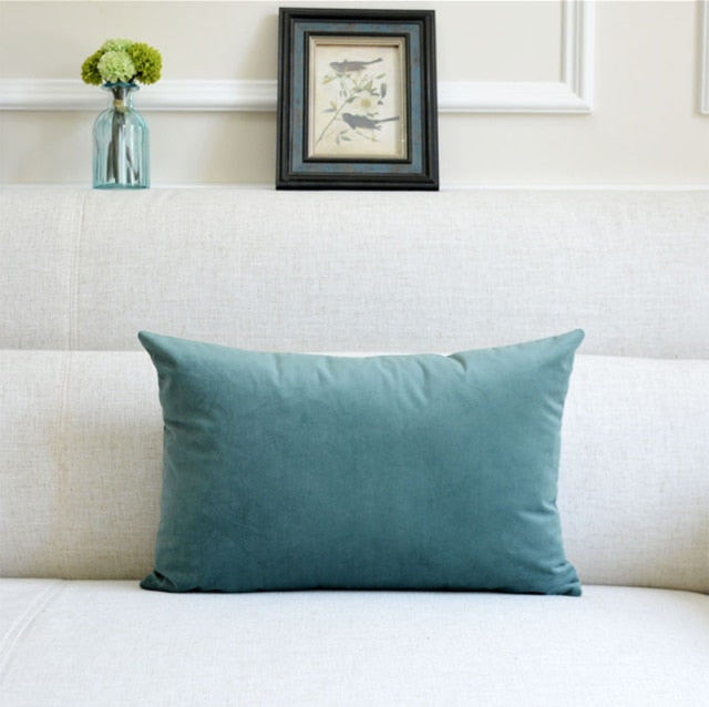 Washable Velvet Pillow Case